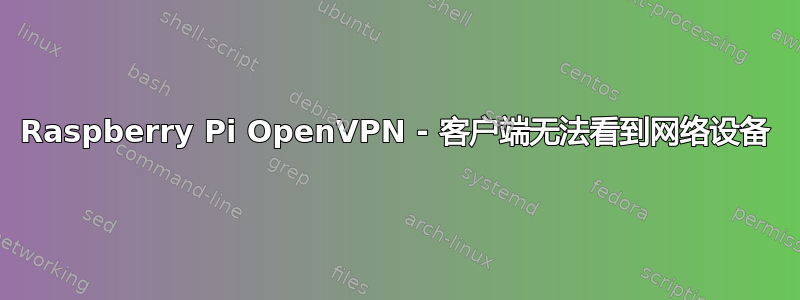 Raspberry Pi OpenVPN - 客户端无法看到网络设备