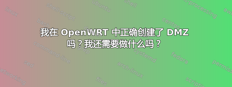 我在 OpenWRT 中正确创建了 DMZ 吗？我还需要做什么吗？