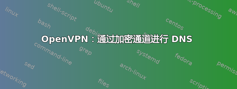 OpenVPN：通过加密通道进行 DNS