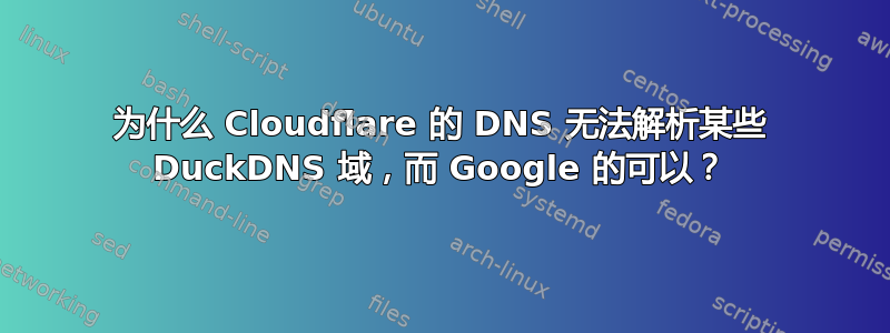 为什么 Cloudflare 的 DNS 无法解析某些 DuckDNS 域，而 Google 的可以？