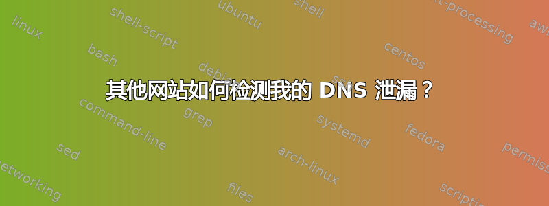 其他网站如何检测我的 DNS 泄漏？