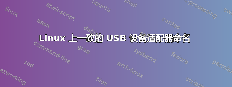 Linux 上一致的 USB 设备适配器命名