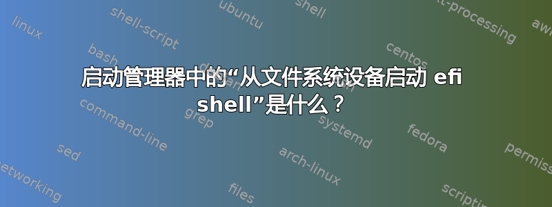 启动管理器中的“从文件系统设备启动 efi shell”是什么？