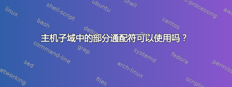 主机子域中的部分通配符可以使用吗？