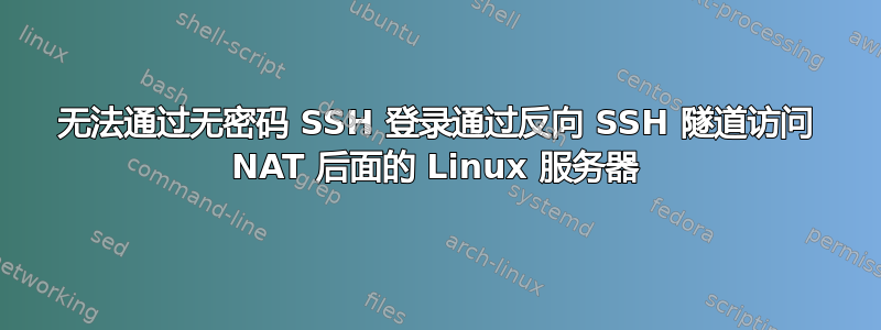 无法通过无密码 SSH 登录通过反向 SSH 隧道访问 NAT 后面的 Linux 服务器