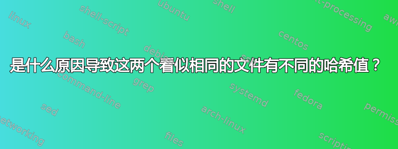 是什么原因导致这两个看似相同的文件有不同的哈希值？