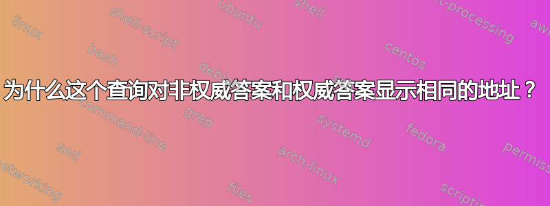 为什么这个查询对非权威答案和权威答案显示相同的地址？