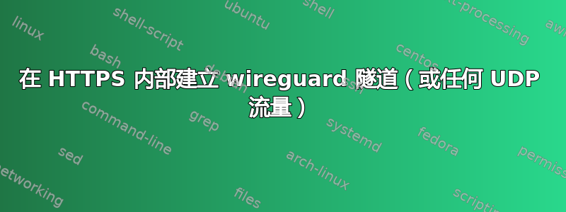 在 HTTPS 内部建立 wireguard 隧道（或任何 UDP 流量）