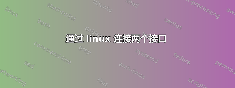 通过 linux 连接两个接口