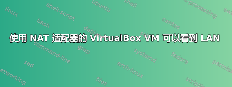 使用 NAT 适配器的 VirtualBox VM 可以看到 LAN