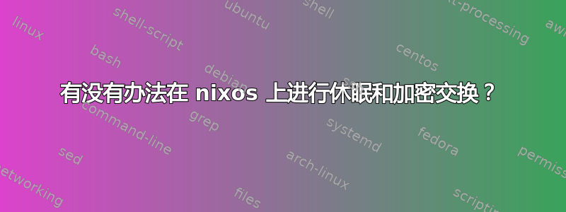 有没有办法在 nixos 上进行休眠和加密交换？