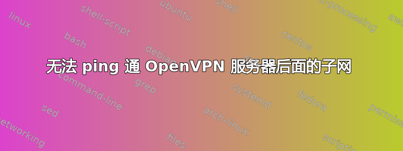 无法 ping 通 OpenVPN 服务器后面的子网