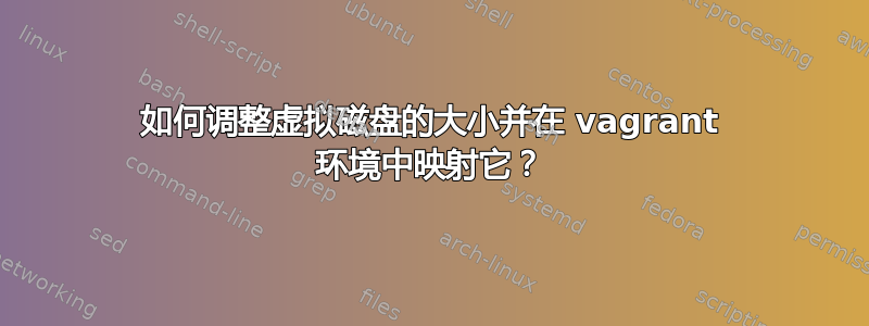 如何调整虚拟磁盘的大小并在 vagrant 环境中映射它？