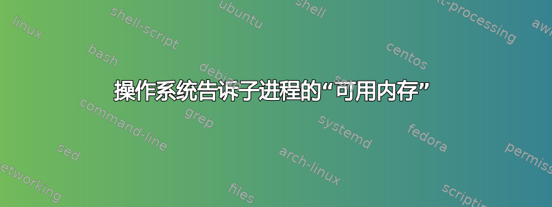 操作系统告诉子进程的“可用内存”