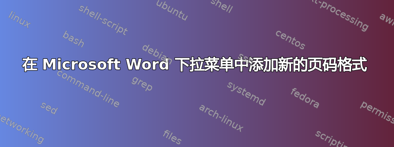 在 Microsoft Word 下拉菜单中添加新的页码格式