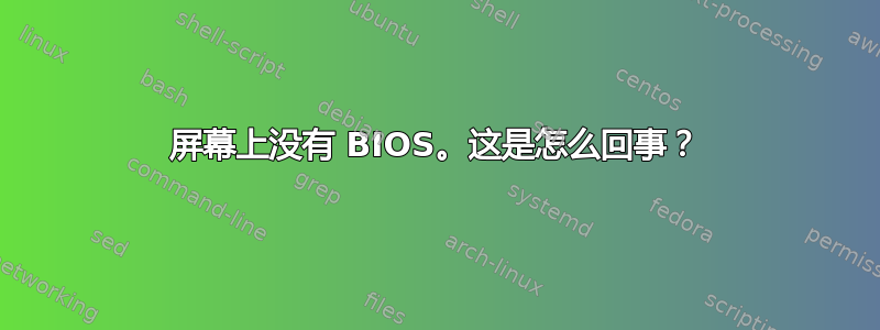 屏幕上没有 BIOS。这是怎么回事？