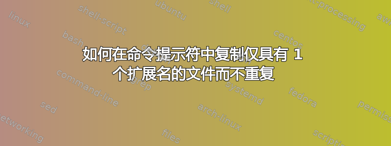 如何在命令提示符中复制仅具有 1 个扩展名的文件而不重复