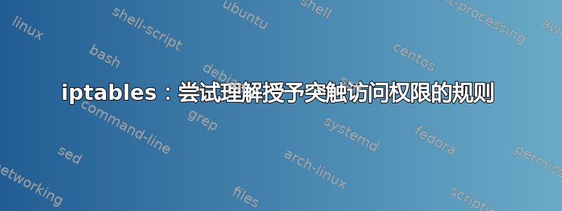 iptables：尝试理解授予突触访问权限的规则