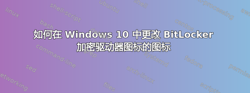 如何在 Windows 10 中更改 BitLocker 加密驱动器图标的图标
