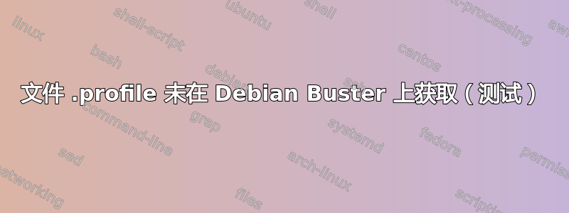 文件 .profile 未在 Debian Buster 上获取（测试）