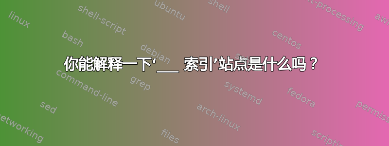 你能解释一下‘___ 索引’站点是什么吗？