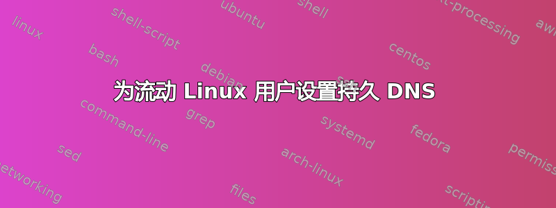 为流动 Linux 用户设置持久 DNS