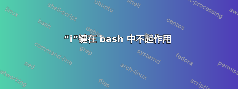 “i”键在 bash 中不起作用