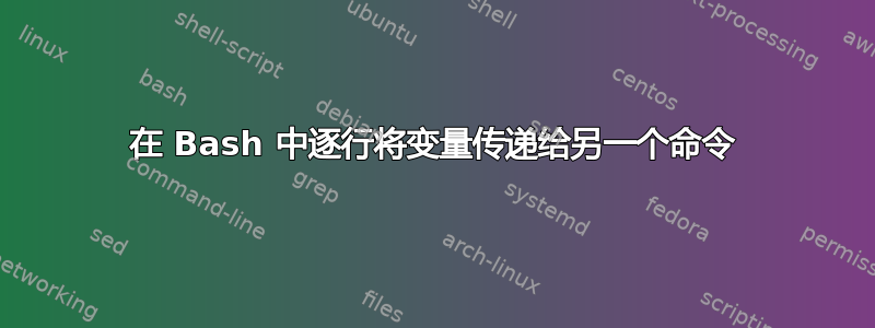 在 Bash 中逐行将变量传递给另一个命令