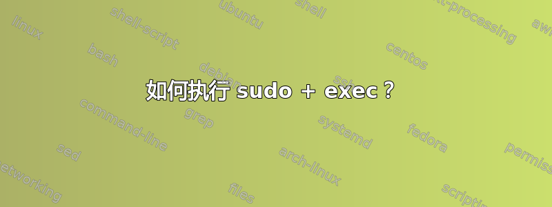 如何执行 sudo + exec？