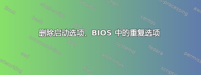 删除启动选项、BIOS 中的重复选项