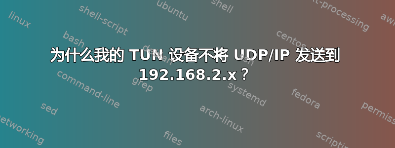 为什么我的 TUN 设备不将 UDP/IP 发送到 192.168.2.x？