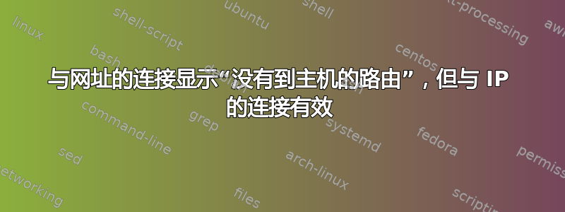 与网址的连接显示“没有到主机的路由”，但与 IP 的连接有效