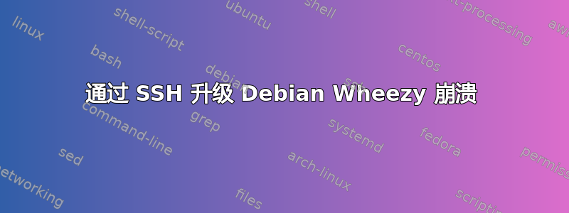 通过 SSH 升级 Debian Wheezy 崩溃