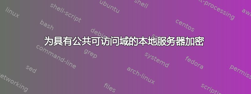 为具有公共可访问域的本地服务器加密