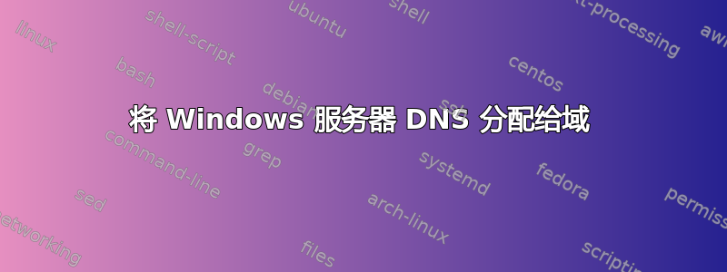 将 Windows 服务器 DNS 分配给域