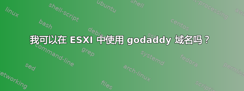 我可以在 ESXI 中使用 godaddy 域名吗？