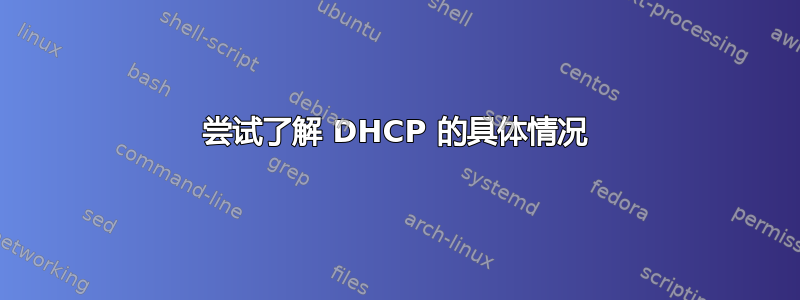 尝试了解 DHCP 的具体情况