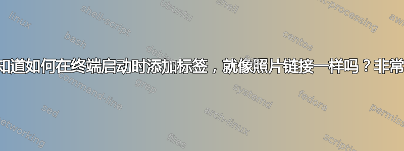 有人知道如何在终端启动时添加标签，就像照片链接一样吗？非常感谢