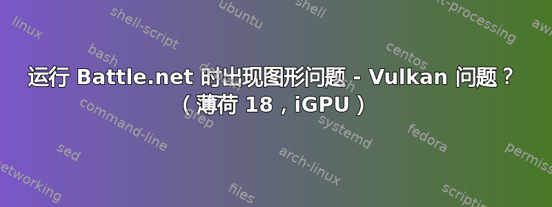 运行 Battle.net 时出现图形问题 - Vulkan 问题？ （薄荷 18，iGPU）