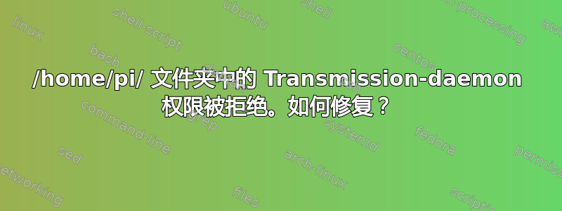 /home/pi/ 文件夹中的 Transmission-daemon 权限被拒绝。如何修复？