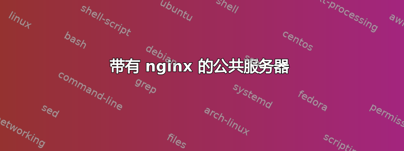 带有 nginx 的公共服务器