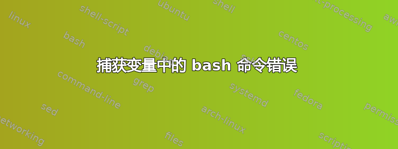 捕获变量中的 bash 命令错误