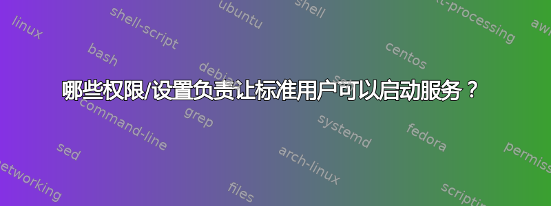 哪些权限/设置负责让标准用户可以启动服务？