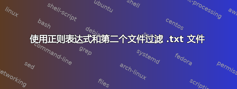 使用正则表达式和第二个文件过滤 .txt 文件