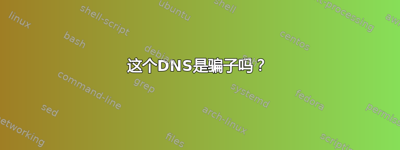 这个DNS是骗子吗？