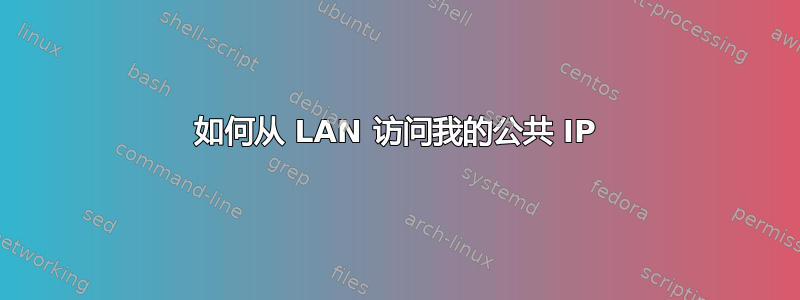 如何从 LAN 访问我的公共 IP