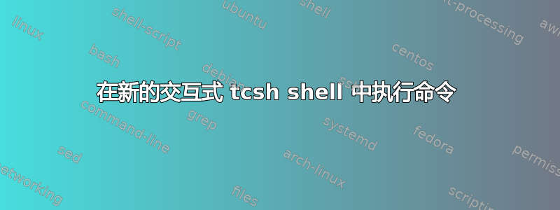 在新的交互式 tcsh shell 中执行命令