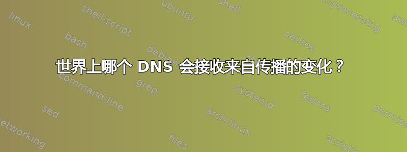 世界上哪个 DNS 会接收来自传播的变化？