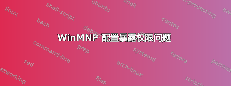 WinMNP 配置暴露权限问题