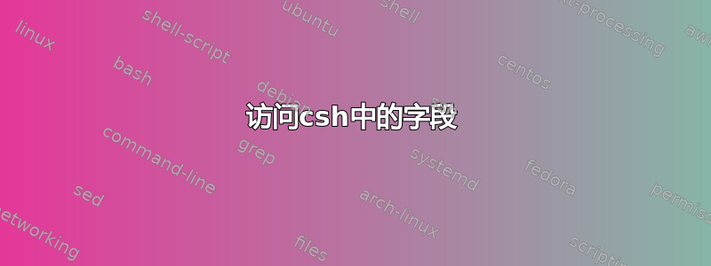 访问csh中的字段